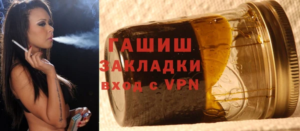 гашик Каменка