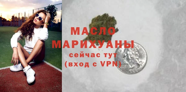гашик Каменка
