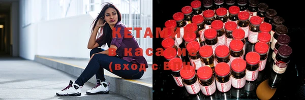 скорость Каменногорск