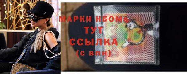 гашик Каменка