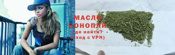 гашик Каменка