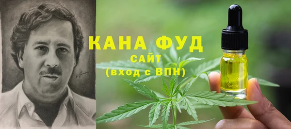 гашик Каменка