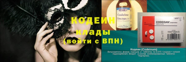 скорость Каменногорск