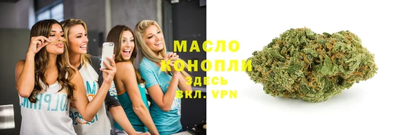 гашик Каменка