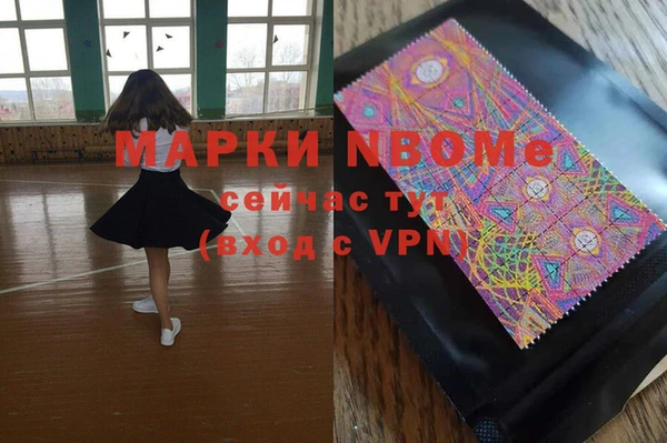 гашик Каменка