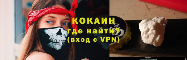 гашик Каменка