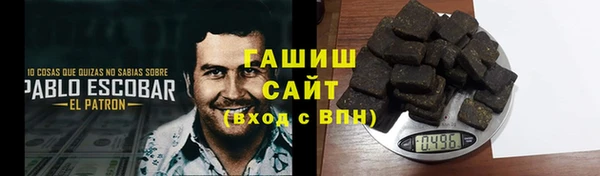 гашик Каменка
