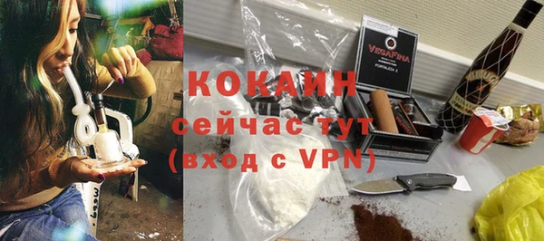 гашик Каменка