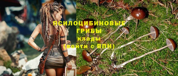 apvp Каменск-Шахтинский